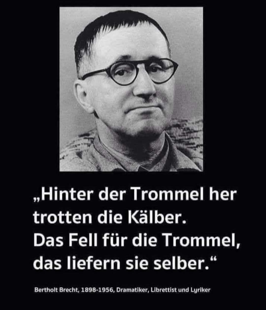 Freiwilige gegen Zwangssysteme