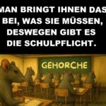 Arbeite. Bezahle Rechnungen. Stirb. Das Rattenrennen Beginnt in der Schule
