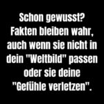 Behördenwillkür – So setzen Sie sich erfolgreich zur Wehr
