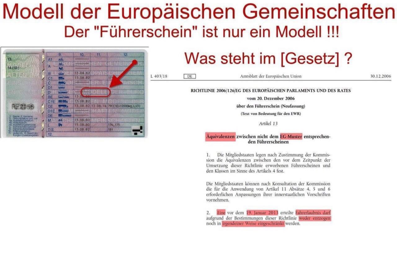 Die Führerscheinsimulation